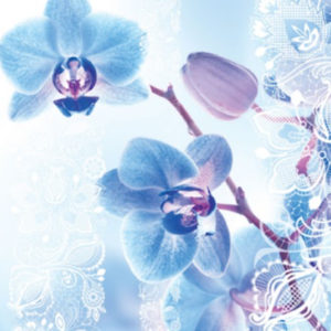 Панель ПВХ СП-Пласт Орхидея голубая (0156) 2700*250*7мм